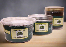 Cedar Tree | Seed Starter Grow Kit | Seeds In A Cup®