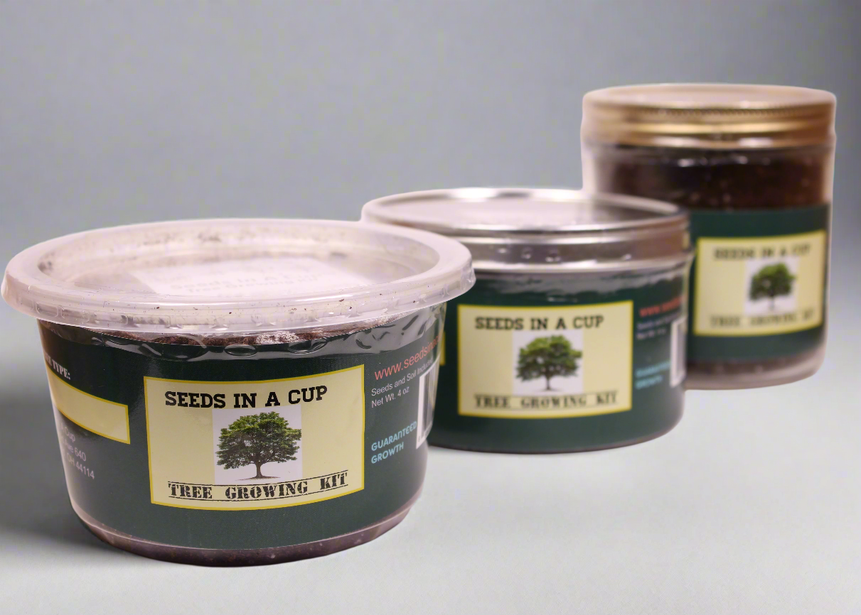 Judas Tree | Seed Starter Grow Kit | Seeds In A Cup®