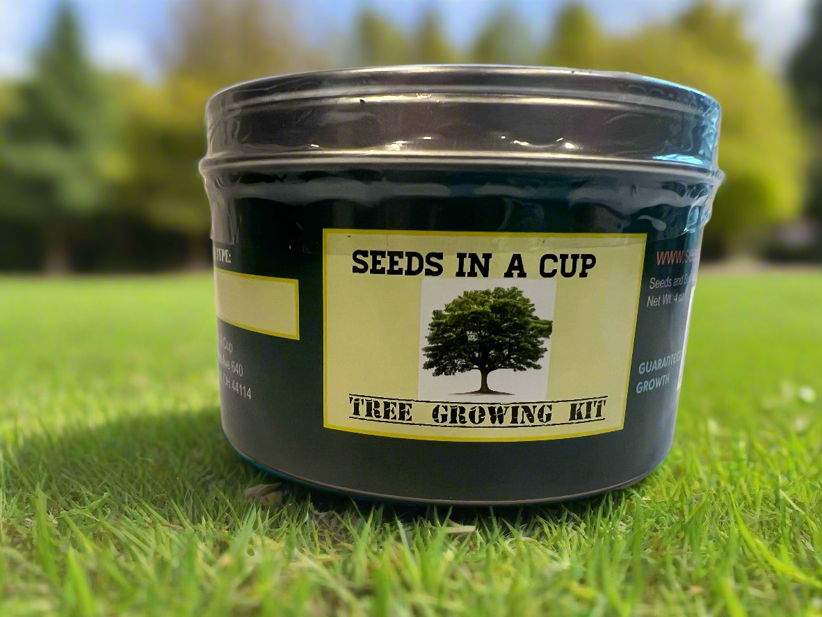 Cedar Tree | Seed Starter Grow Kit | Seeds In A Cup®
