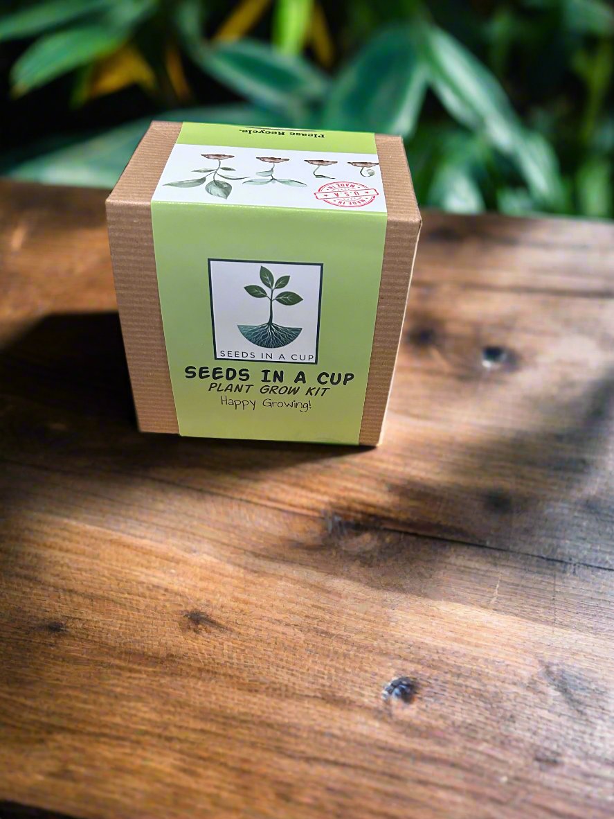 Cedar Tree | Seed Starter Grow Kit | Seeds In A Cup®